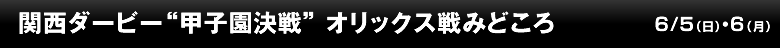 関西ダービー“甲子園決戦”オリックス戦みどころ