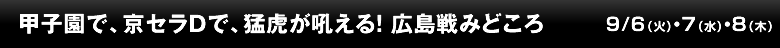 甲子園で、京セラDで、猛虎が吼える！ 広島戦みどころ