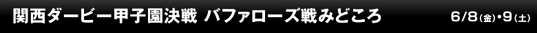 関西ダービー甲子園決戦 バファローズ戦みどころ