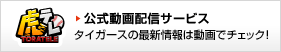 虎テレ動画配信サービス
