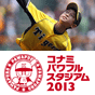 コナミパワフルスタジアム2013