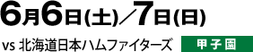 6月6日（土）／7日（日）