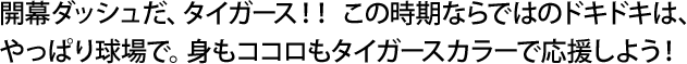 開幕ダッシュだ、タイガース！！ この時期ならではのドキドキは、やっぱり球場で。身もココロもタイガースカラーで応援しよう！