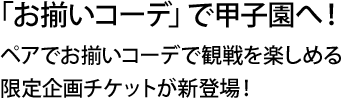 「お揃いコーデ」で甲子園へ！ペアでお揃いコーデで観戦を楽しめる限定企画チケットが新登場！