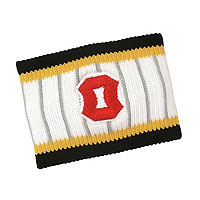 アームバンド画像