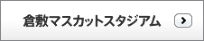 倉敷マスカットスタジアム