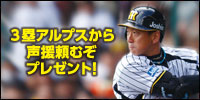 3塁アルプスから声援頼むぞプレゼント！