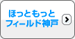 ほっともっとフィールド神戸