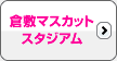 倉敷マスカットスタジアム