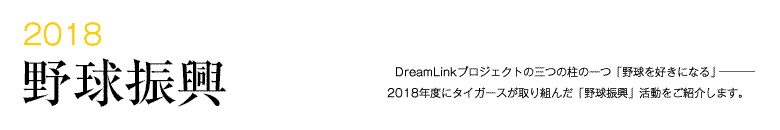 2018 野球振興 -DreamLinkプロジェクトの三つの柱の一つ「野球を好きになる」―――2018年度にタイガースが取り組んだ「野球振興」活動をご紹介します。-