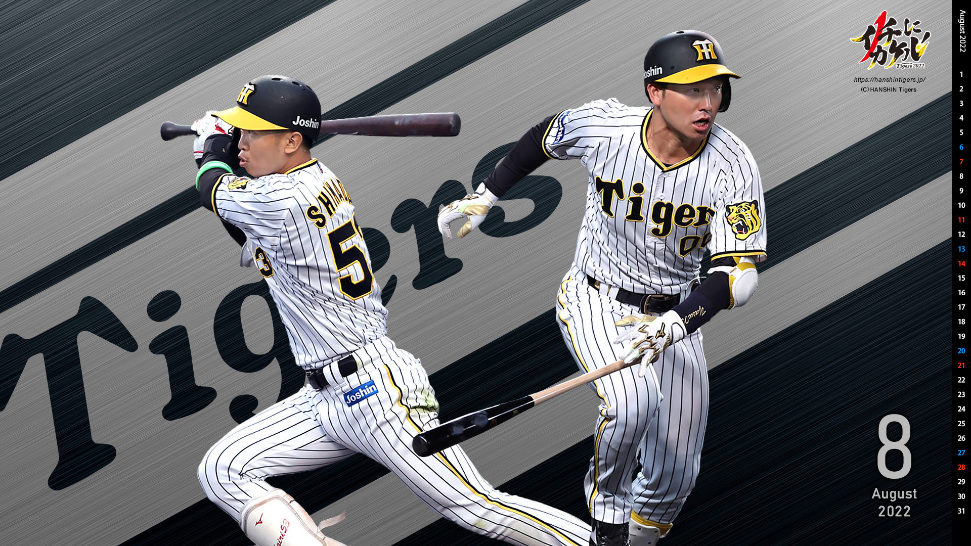 今月限定 特別大特価 阪神タイガース 06年カレンダー 保存版 Www Anavara Com