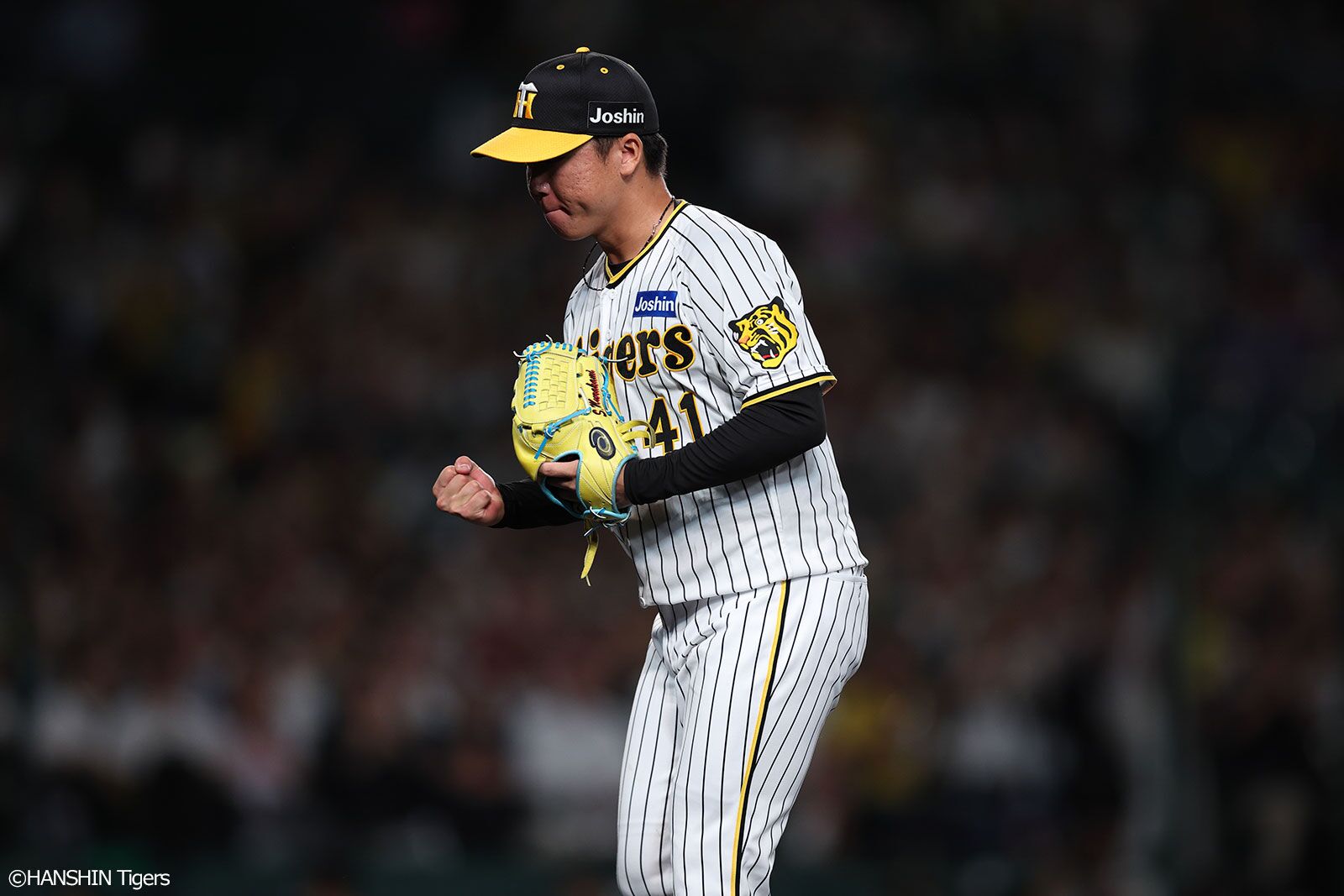 4月4日 阪神タイガースVs横浜DeNA スペシャルAシート3塁側、2連番 4月4日 阪神タイガースVs横浜DeNA スペシャルAシート3塁側、2連番