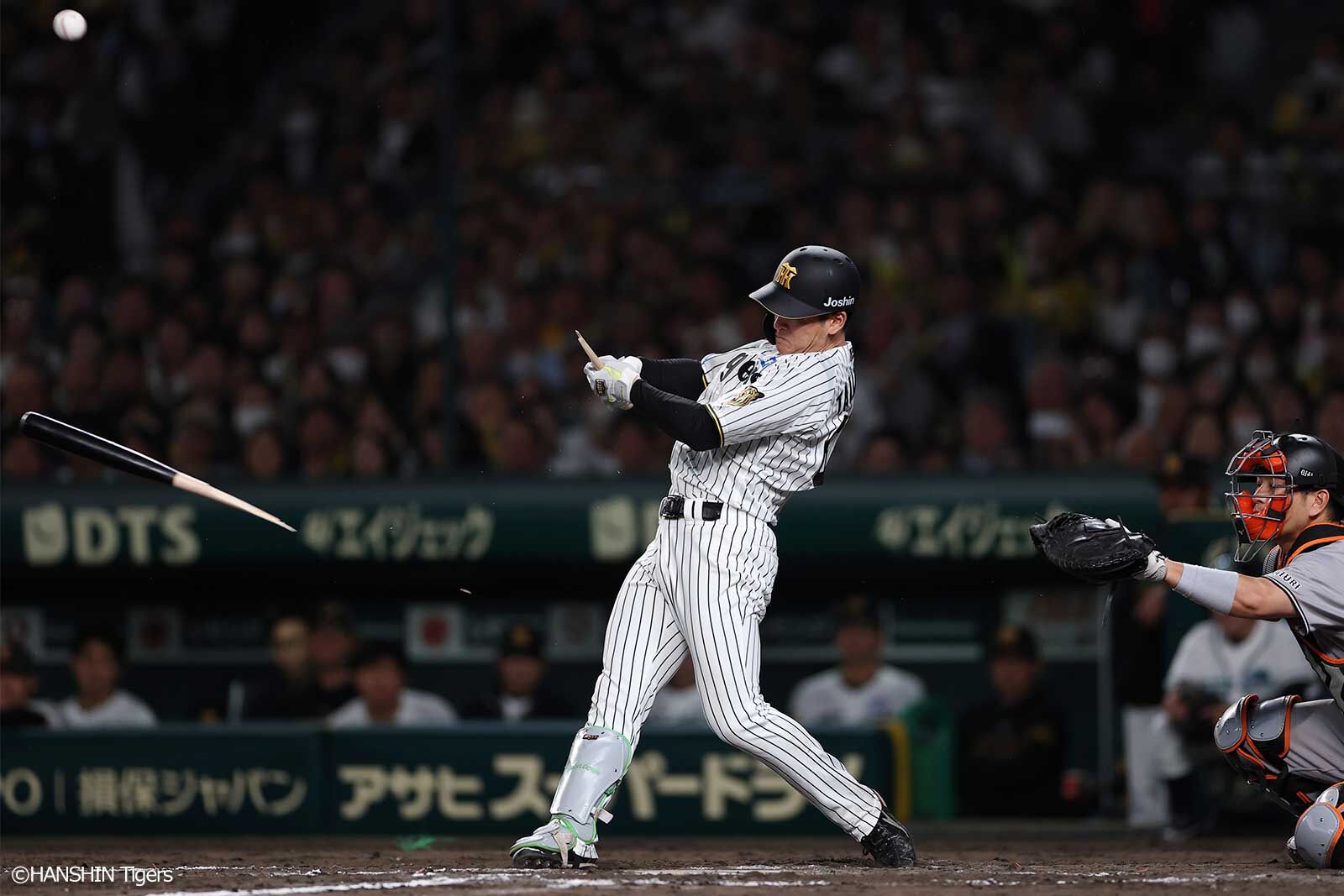 スポーツ別 ブルース・リー オリジナル 振藩国術館 会員証 ブルース
