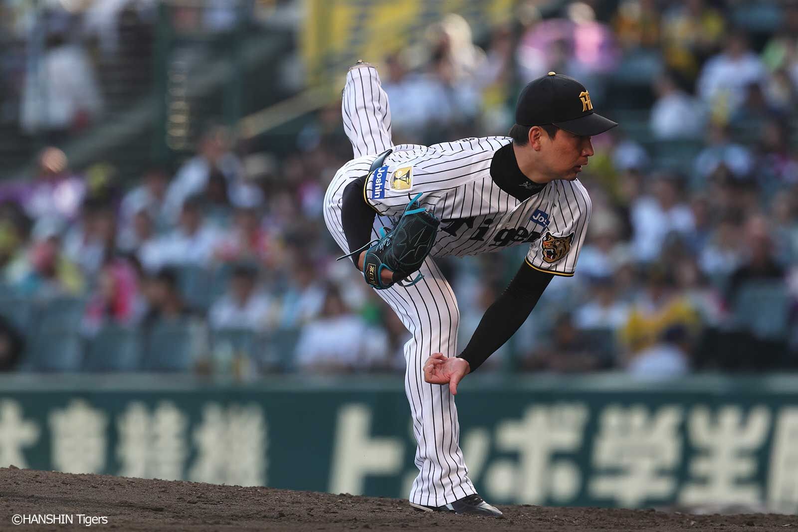 ⭐︎決まりました⭐︎7月9日（火）阪神チケット 阪神タイガース公式サイト