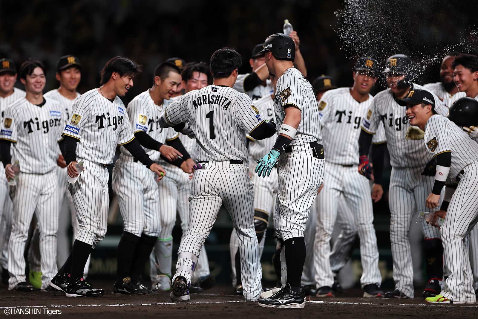 阪神タイガース公式サイト