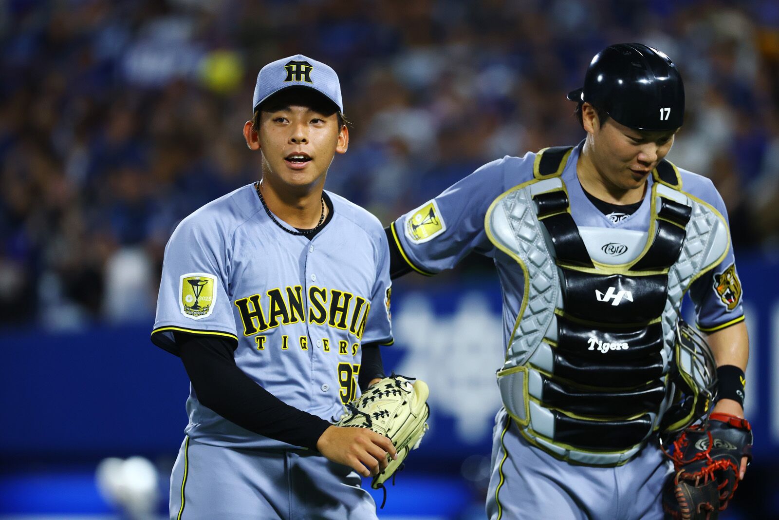 甲子園日曜日のデーゲーム６試合セット☆阪神タイガース2024公式戦☆ライト外野指 阪神タイガース公式サイト