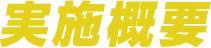 実地概要