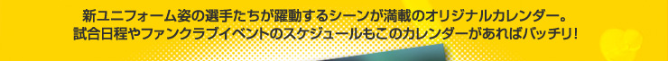 新ユニフォーム姿の選手たちが躍動するシーンが満載のオリジナルカレンダー。試合日程やファンクラブイベントのスケジュールもこのカレンダーがあればバッチリ！