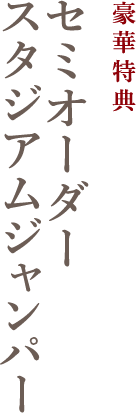 セミオーダースタジアムジャンパー