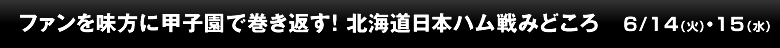 ファンを味方に甲子園で巻き返す！ 北海道日本ハム戦みどころ