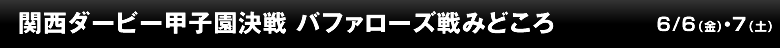関西ダービー甲子園決戦 バファローズ戦みどころ
