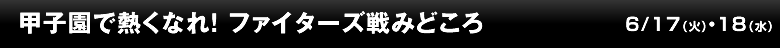 甲子園で熱くなれ！ ファイターズ戦みどころ