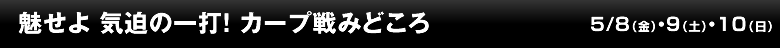 見せよ気迫の一打! カープ戦みどころ