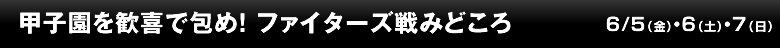 甲子園を歓喜で包め！ファイターズ戦みどころ