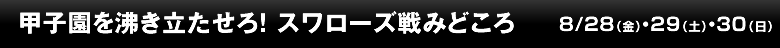 勝利を掴むために ドラゴンズ戦みどころ