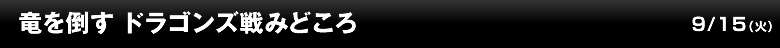 竜を倒す ドラゴンズ戦みどころ
