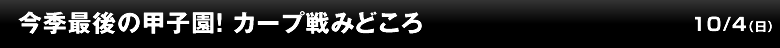 今季最後の甲子園！ カープ戦みどころ