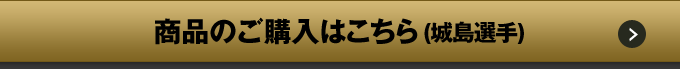 商品のご購入はこちら(城島選手)