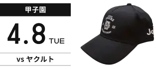 【甲子園】4月8日(火) vsヤクルト