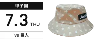 【甲子園】7月3日(木) vs巨人