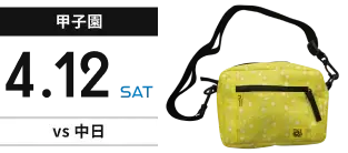【甲子園】4月12日(土) vs中日