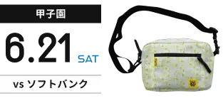 【甲子園】6月21日(土) vsソフトバンク