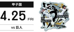 【甲子園】4月25日(金) vs巨人