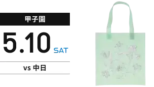 【甲子園】5月10日(土) vs中日