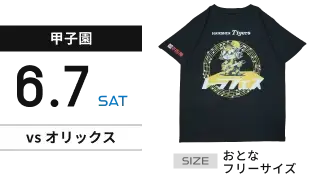 【甲子園】6月7日(土) vsオリックス