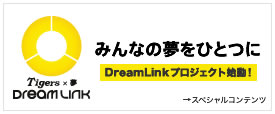 みんなの夢をひとつに DREAM LINK